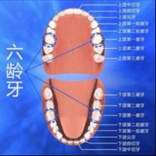u=3770585503,2664599264&fm=21&gp=0.jpg