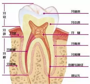QQ截圖20161008150023.png QQ截圖20161008150023.png