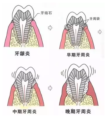 QQ截圖20161008150236.png