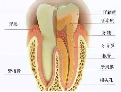 QQ截圖20161103165313.png