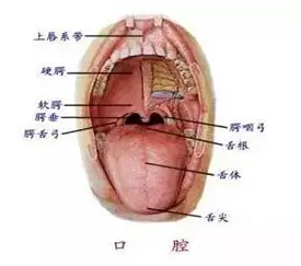 QQ截圖20170117133922.png