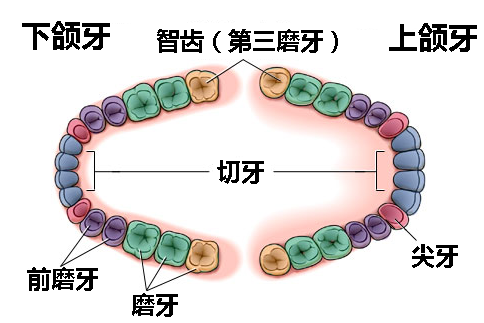 QQ截圖20170727164155.png