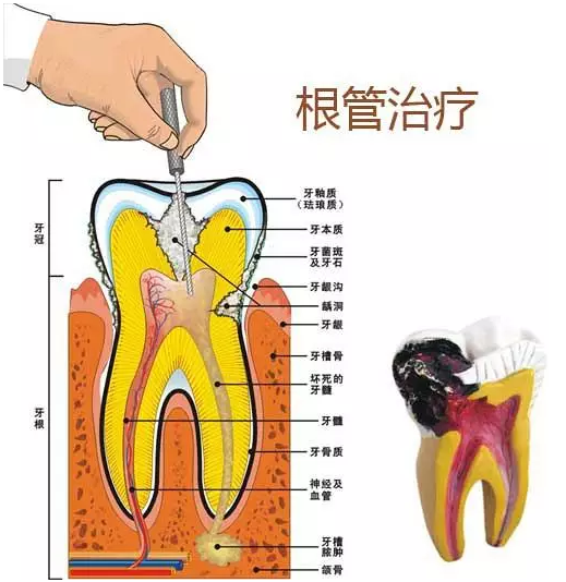 QQ截圖20170728152045.png