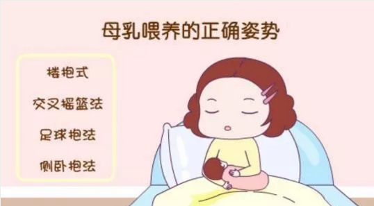 QQ截圖20171110154002.png